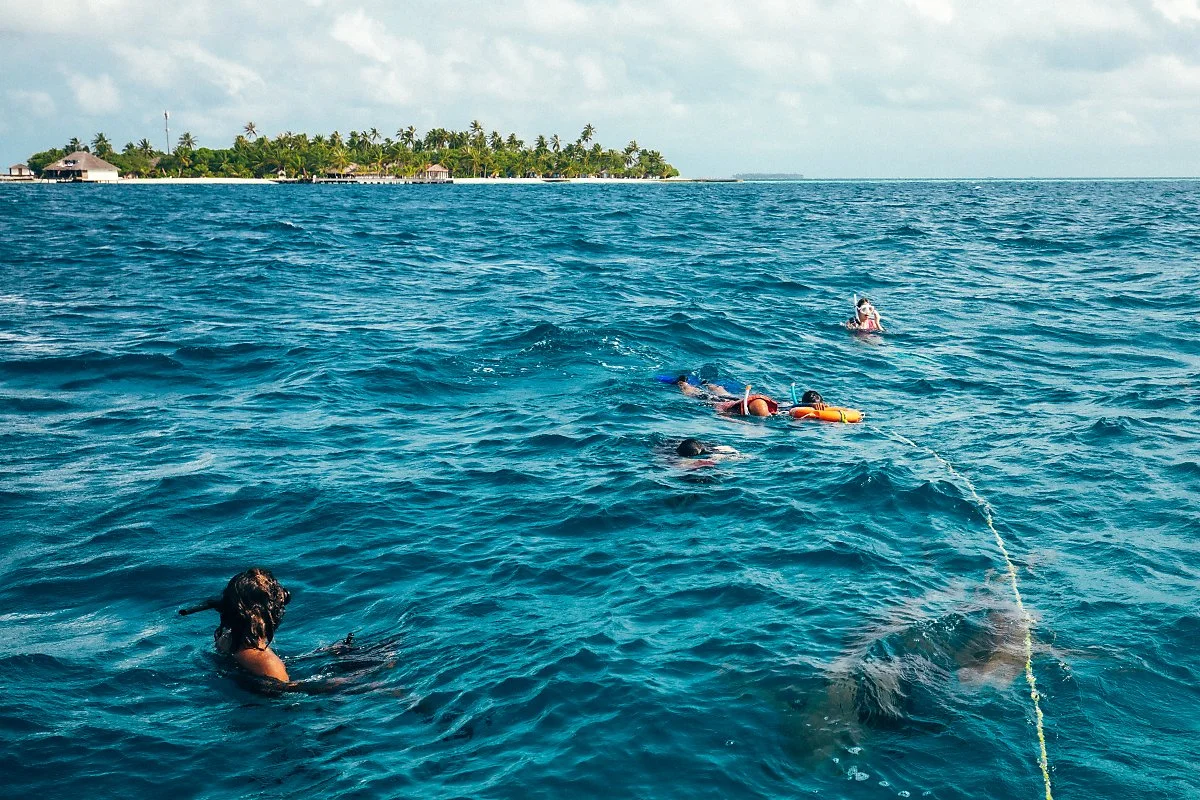 %EB%AA%B0%EB%94%A5_dd-7.jpg?type=w1200