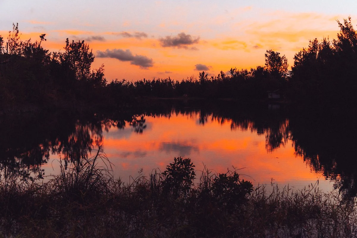 %ED%83%80%EC%9D%B4%EB%8F%99_%EC%82%BC%EB%A6%BC%EA%B3%B5%EC%9B%90_%284%29.jpg?type=w1200