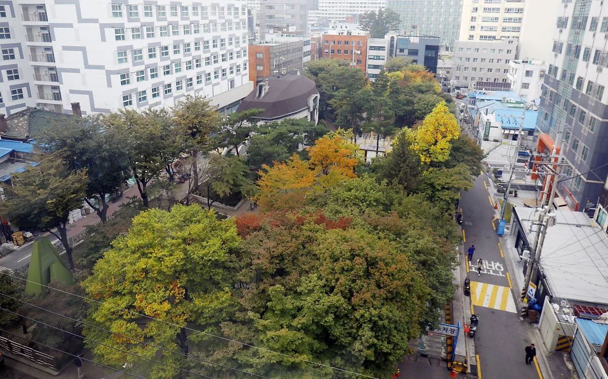 %ED%98%84%EB%8C%80%EB%A0%88%EC%A7%80%EB%8D%98%EC%8A%A4%2816%29.JPG?type=w1200