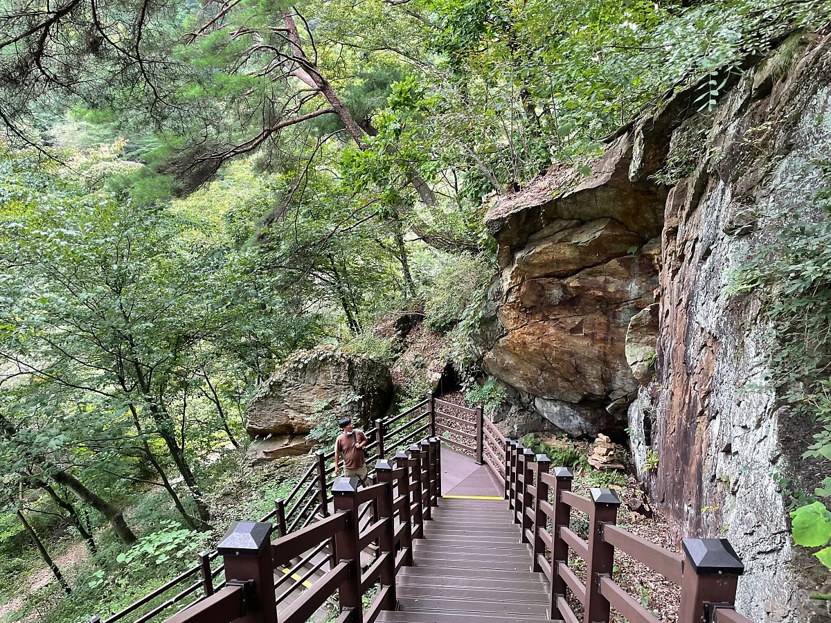 %EC%A0%9C%EC%B2%9C_%EC%B9%98%EC%9C%A0%EC%9D%98%EC%88%B2_%285%29.JPG?type=w1200