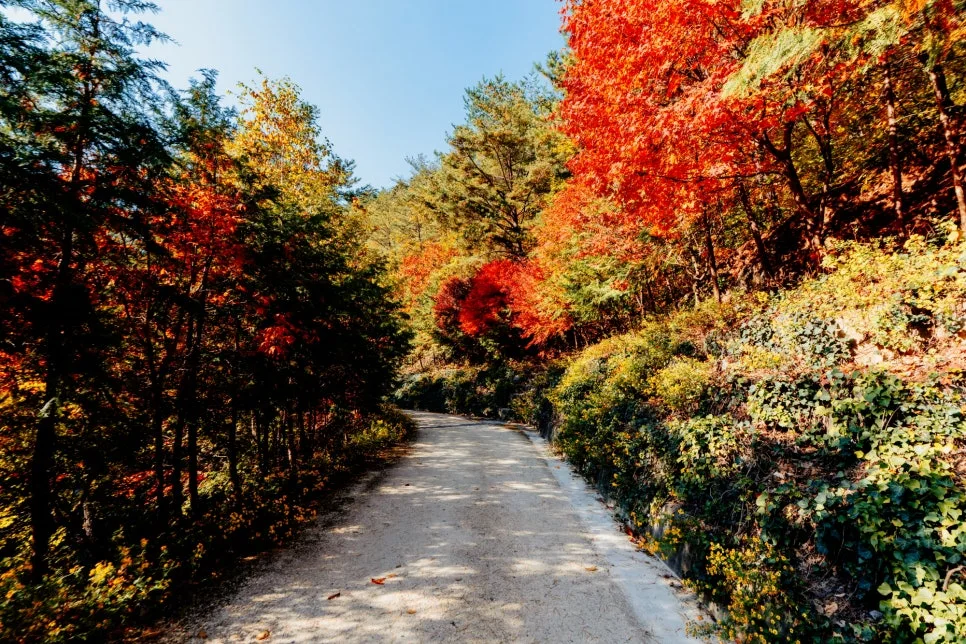 %EC%82%BC%EC%B2%99%ED%99%9C%EA%B8%B0%EC%B9%98%EC%9C%A0%EC%9D%98%EC%88%B2_(2).jpg?type=w966