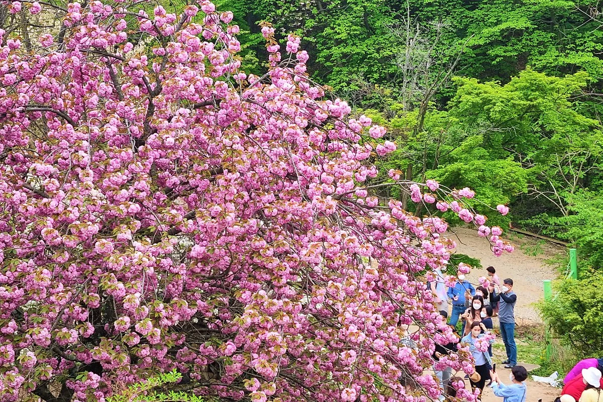 04%EA%B0%9C%EC%8B%AC%EC%82%AC_%282%29.jpg?type=w1200