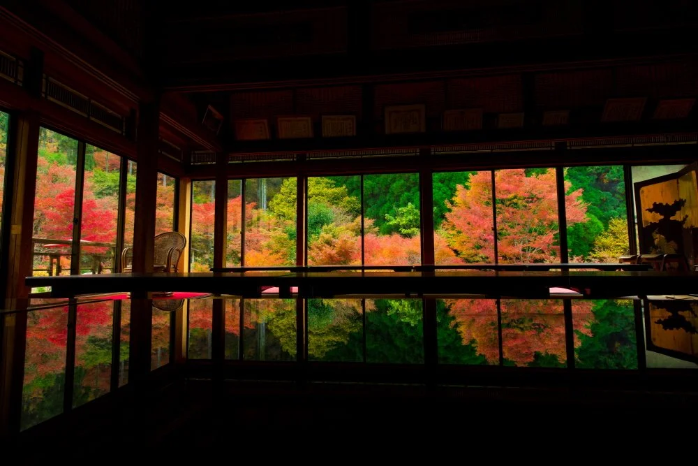 %ED%99%98%EA%B2%BD%EC%98%88%EC%88%A0%EC%9D%98_%EC%88%B2.jpg?type=w1200