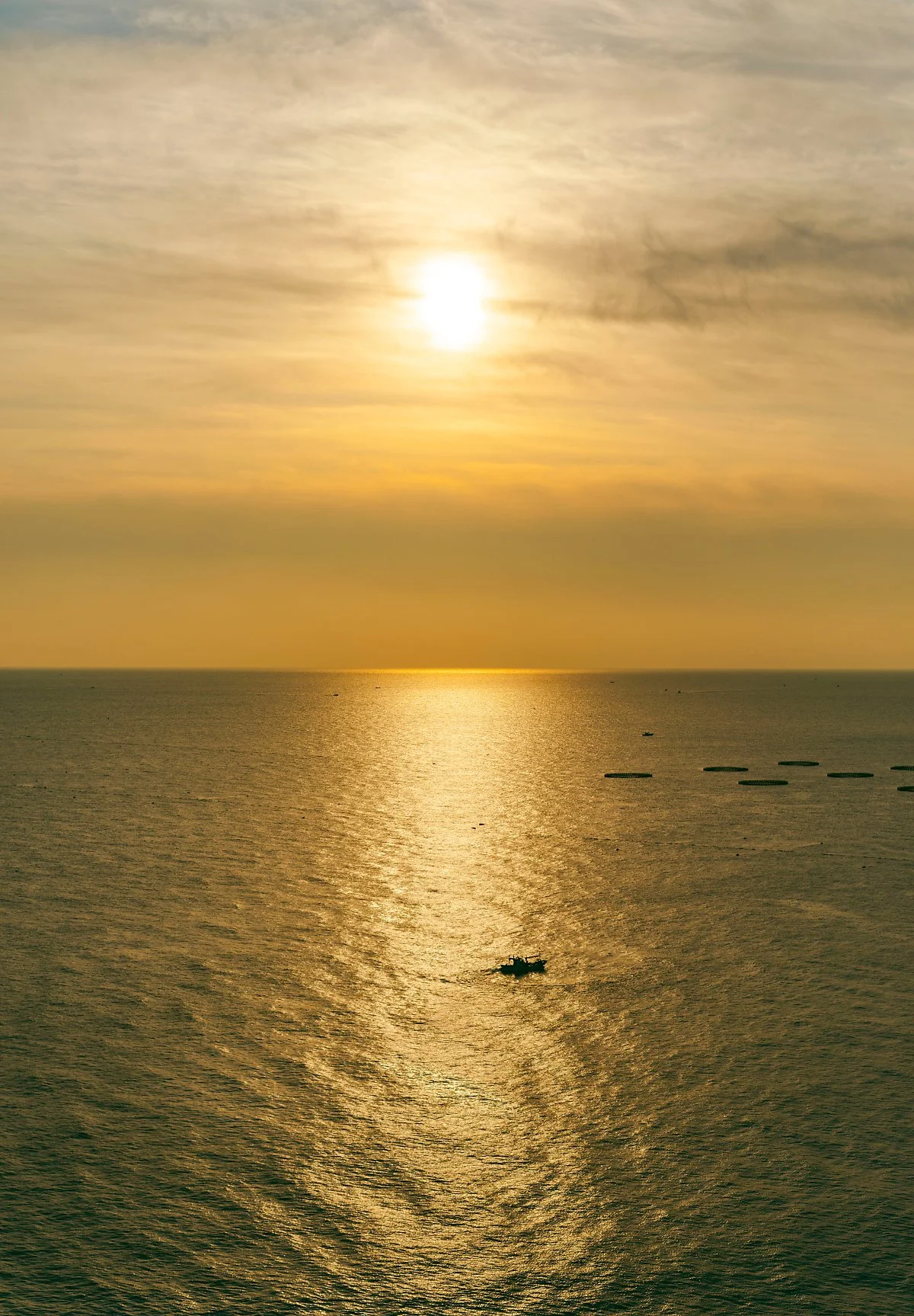 d_%EB%A1%AF%EB%8D%B0%EB%A6%AC%EC%A1%B0%ED%8A%B8%EC%86%8D%EC%B4%88_1.jpg?type=w1200