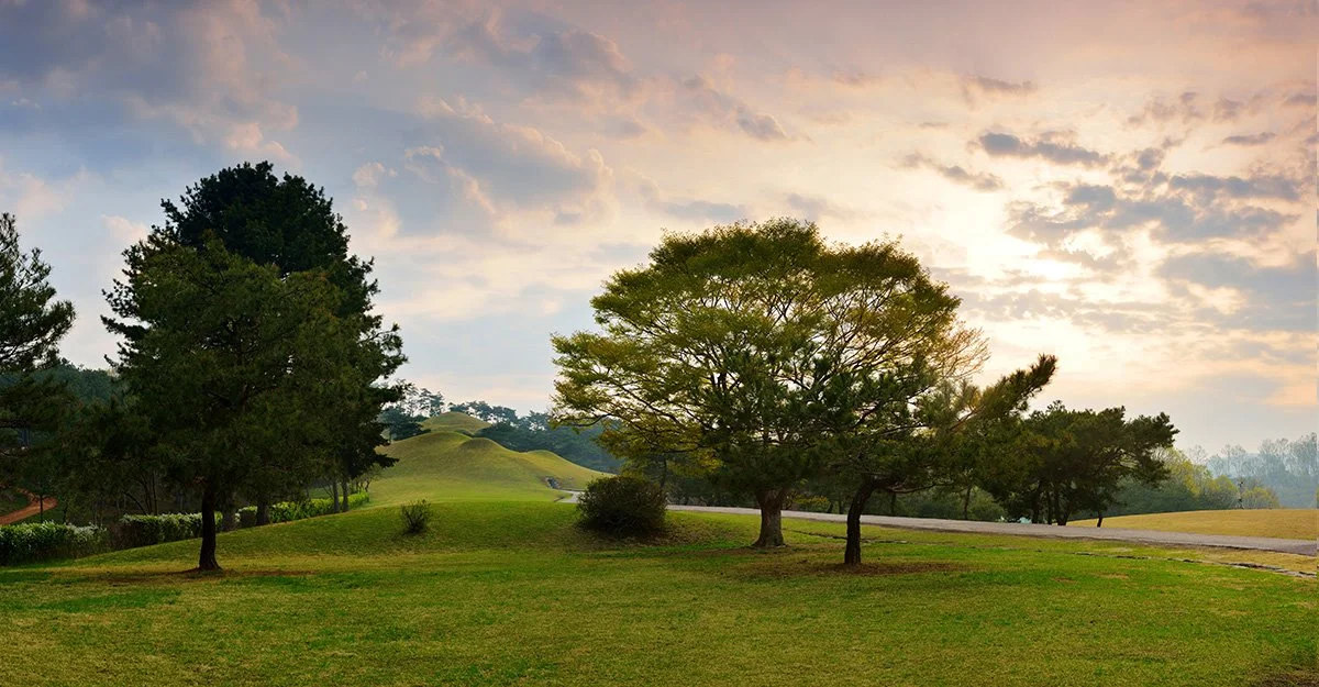 %EA%B3%B5%EC%A3%BC_%EC%86%A1%EC%82%B0%EB%A6%AC%EA%B3%A0%EB%B6%84%EA%B5%B0_%28c%29%EA%B3%B5%EC%A3%BC%EC%8B%9C_%EB%AC%B8%ED%99%94%EA%B4%80%EA%B4%91.jpg?type=w1200