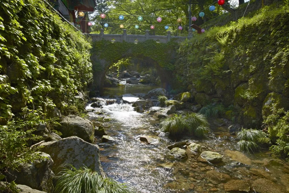 %EB%8C%80%ED%9D%A5%EC%82%AC-%EA%B3%84%EB%A5%98_%EA%B8%88%EB%8B%B9%EC%B2%9C_%281%29.jpg?type=w1200