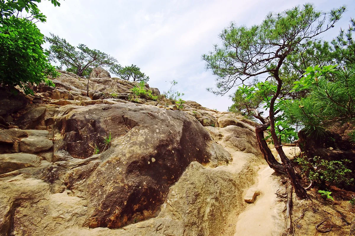 %EA%B5%AC%EB%8B%B4%EB%B4%89%EC%9C%BC%EB%A1%9C_%EA%B0%80%EB%8A%94_%EA%B8%B8._%EC%9A%B8%ED%89%81%EB%B6%88%ED%89%81%ED%95%9C_%EB%B0%94%EC%9C%97%EA%B8%B8%EC%9D%84_%EA%B1%B7%EA%B8%B0%EB%8F%84_%ED%95%9C%EB%8B%A4..JPG?type=w1200