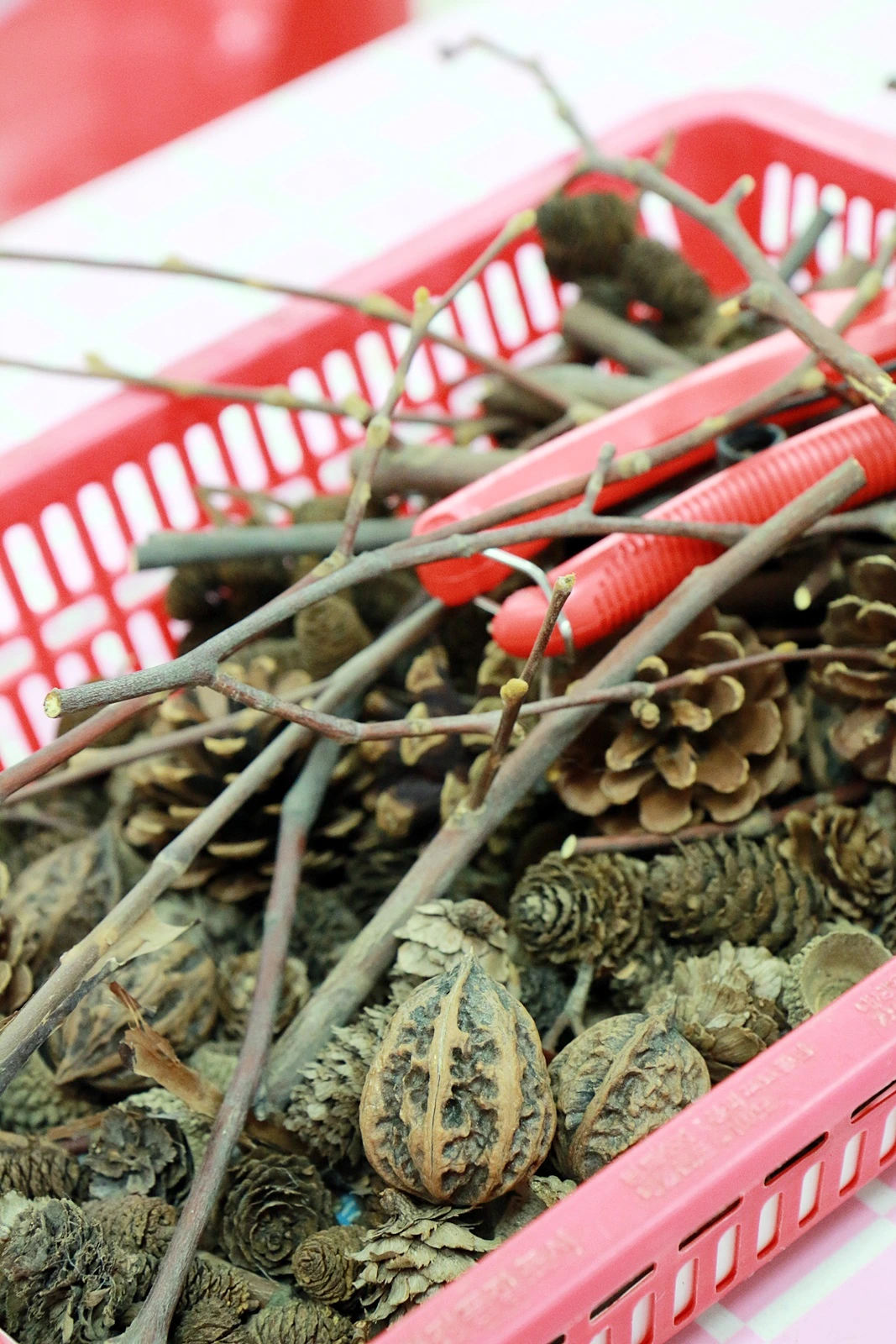 하추자연체험학교 (8).JPG