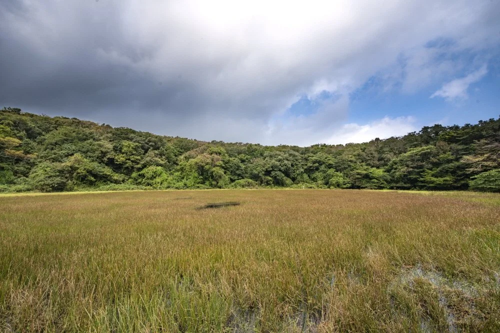 %ED%81%AC%EA%B8%B0%EB%B3%80%ED%99%98%EB%AC%BC%EC%98%81%EC%95%84%EB%A6%AC_%284%29.jpg?type=w1200