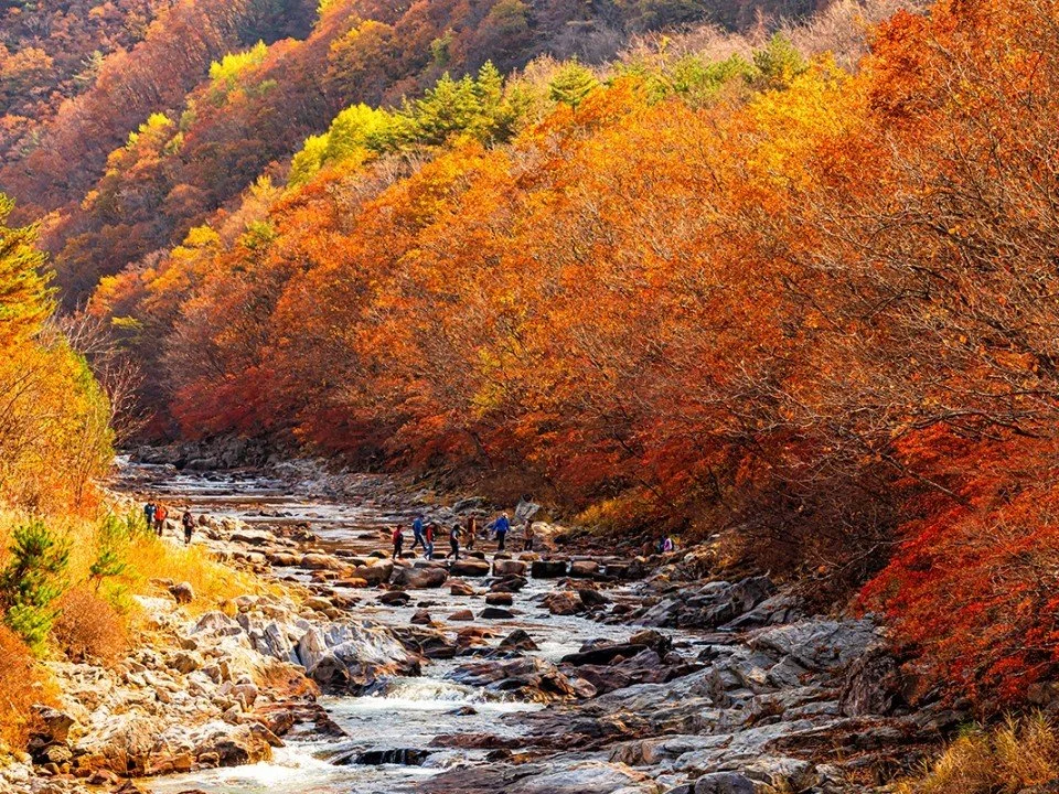 DMZ_%ED%8F%89%ED%99%94%EC%9D%98%EA%B8%B8_%ED%88%AC%EC%96%B4.jpg?type=w1200