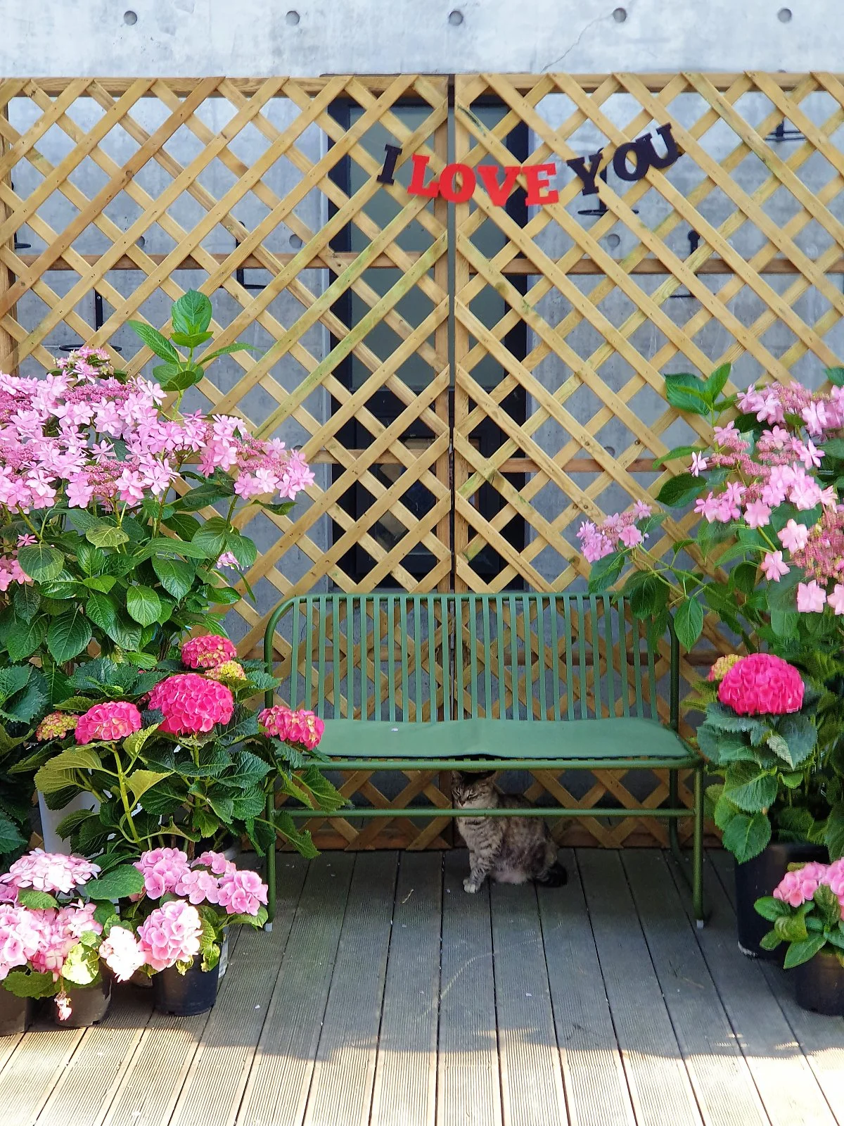 01%ED%8F%89%EA%B0%95%EB%9E%9C%EB%93%9C_%EA%B0%80%EB%93%9C%EB%84%88%EC%8A%A4_%EC%B9%B4%ED%8E%98_%282%29.jpg?type=w1200