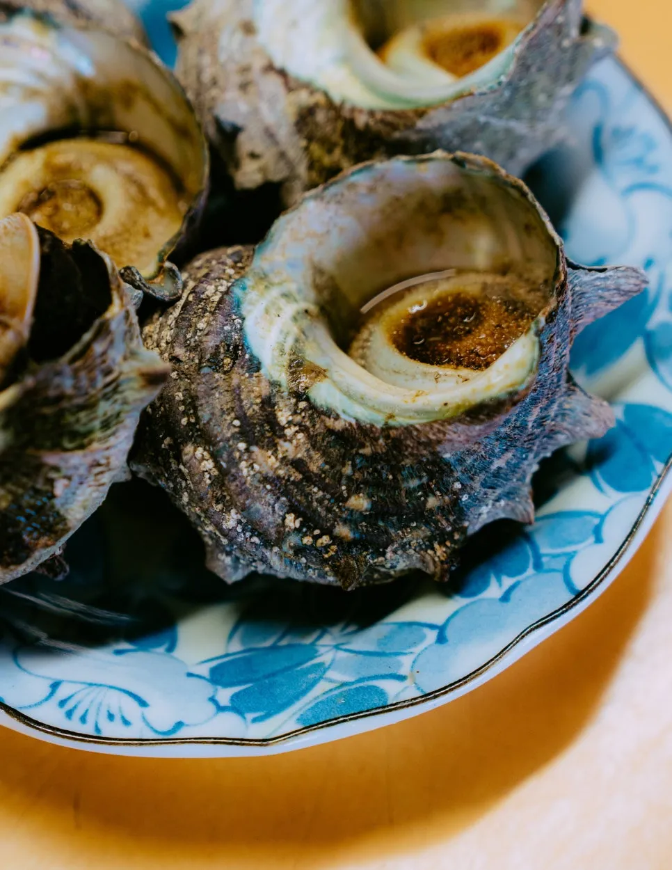 20250116-DSC05317.jpg?type=w966