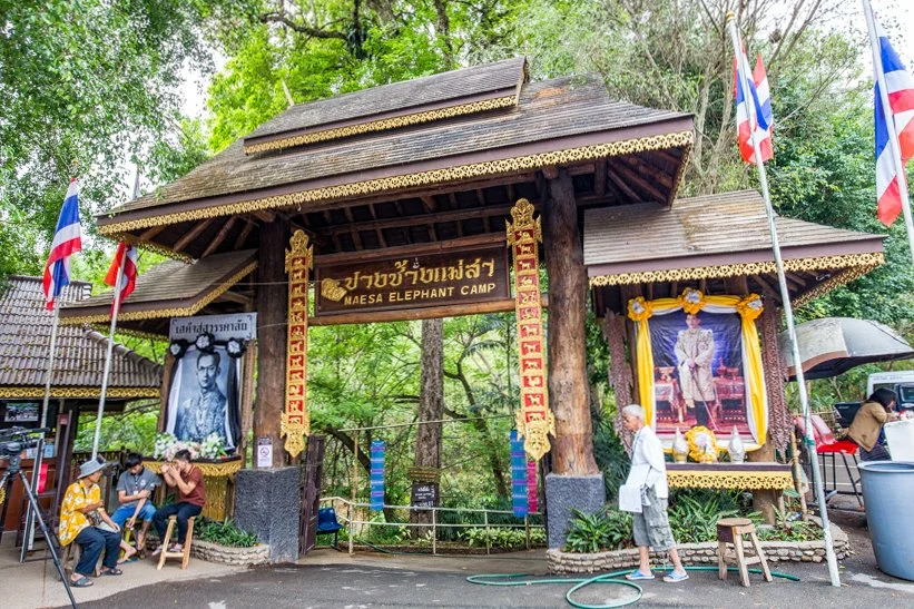 %EC%B9%98%EC%95%99%EB%A7%88%EC%9D%B4.jpg?type=w1200