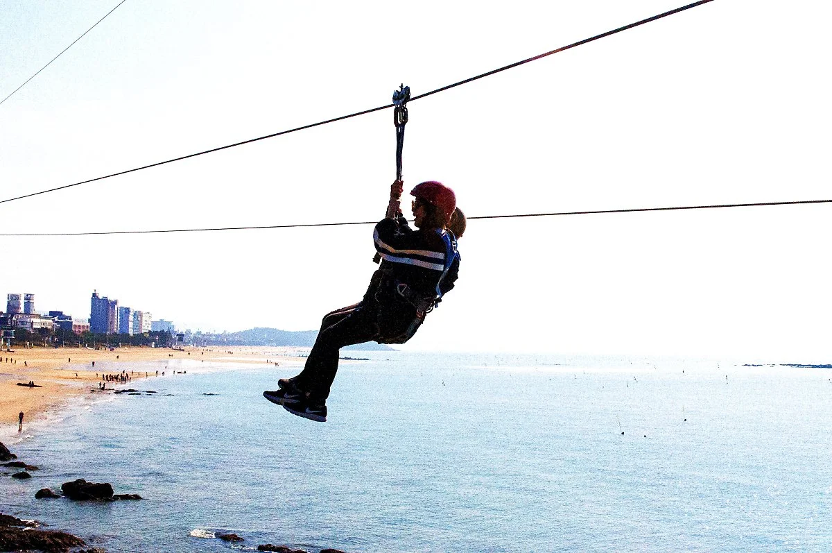 %EB%B3%B4%EB%A0%B9%EC%A7%9A%EB%9D%BC%EC%9D%B8.jpg?type=w1200