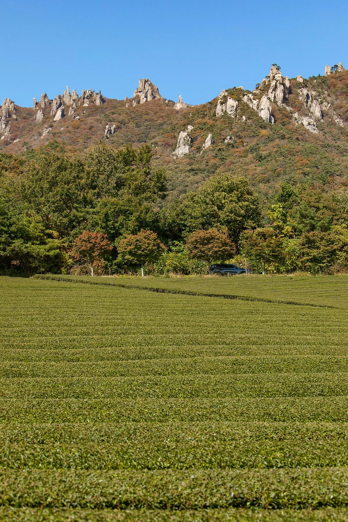 IMG_6751.jpg?type=w1200