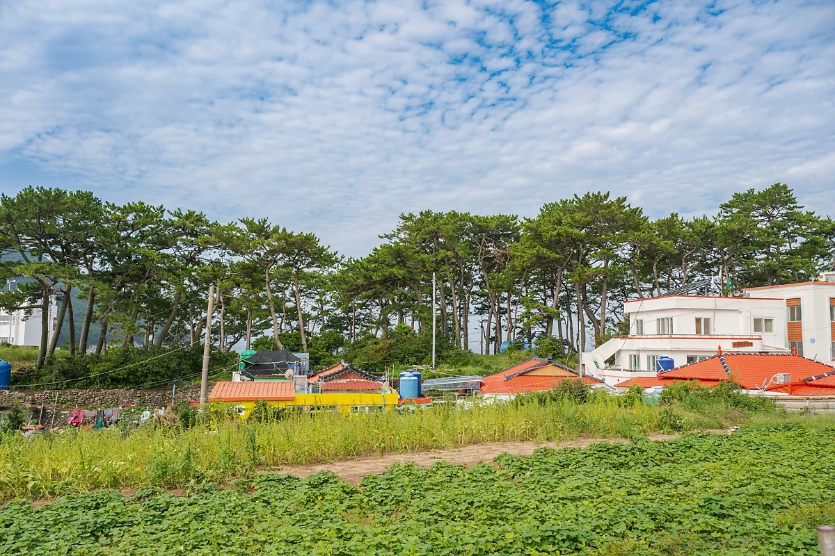 %EC%99%B8%ED%95%AD%EB%A7%88%EC%9D%84_%281%29.jpg?type=w1200