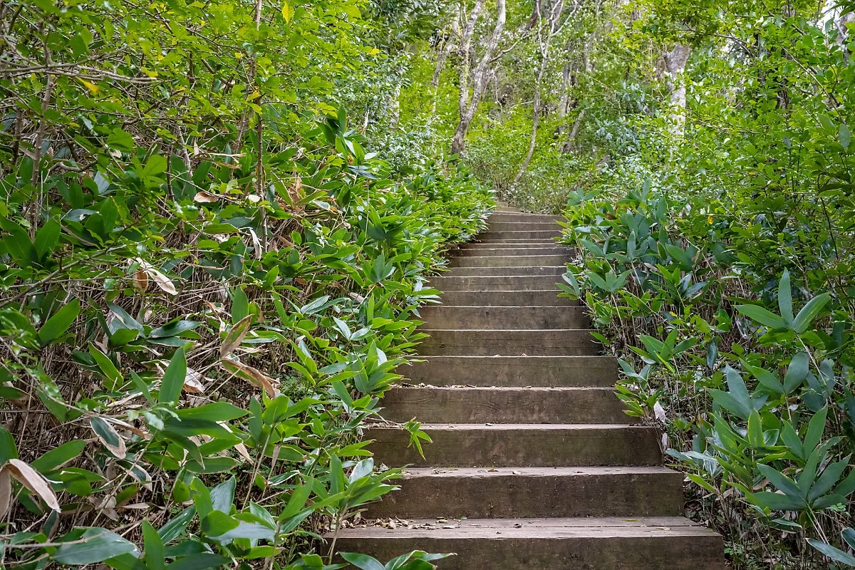 %EB%B6%89%EC%9D%80%EC%98%A4%EB%A6%84_%286%29.jpg?type=w1200