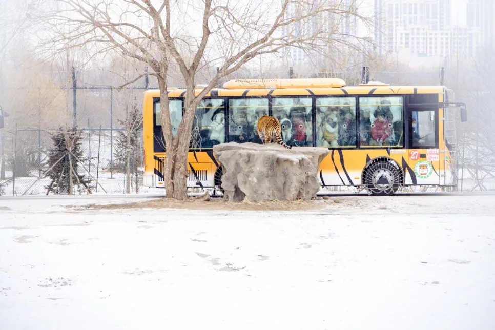 %EB%8F%99%EB%B6%81%ED%98%B8%EB%A6%BC%EC%9B%90_(4).jpg?type=w966