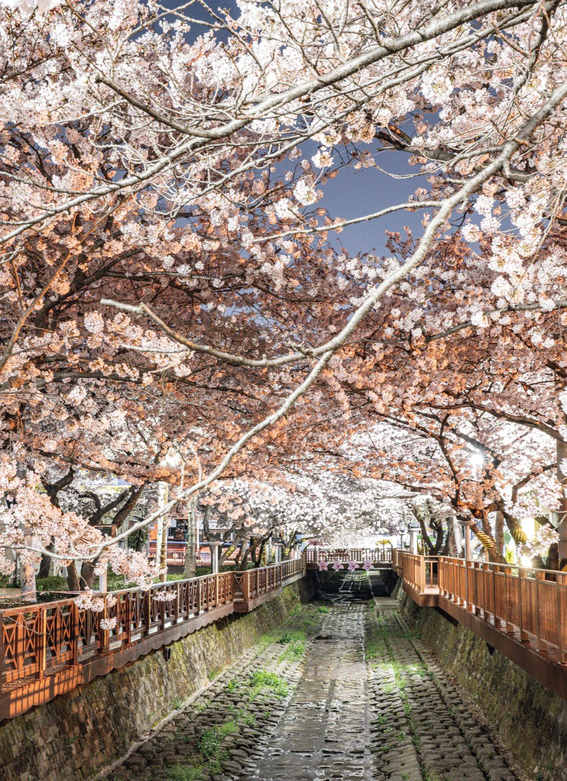 image.png?type=w1200