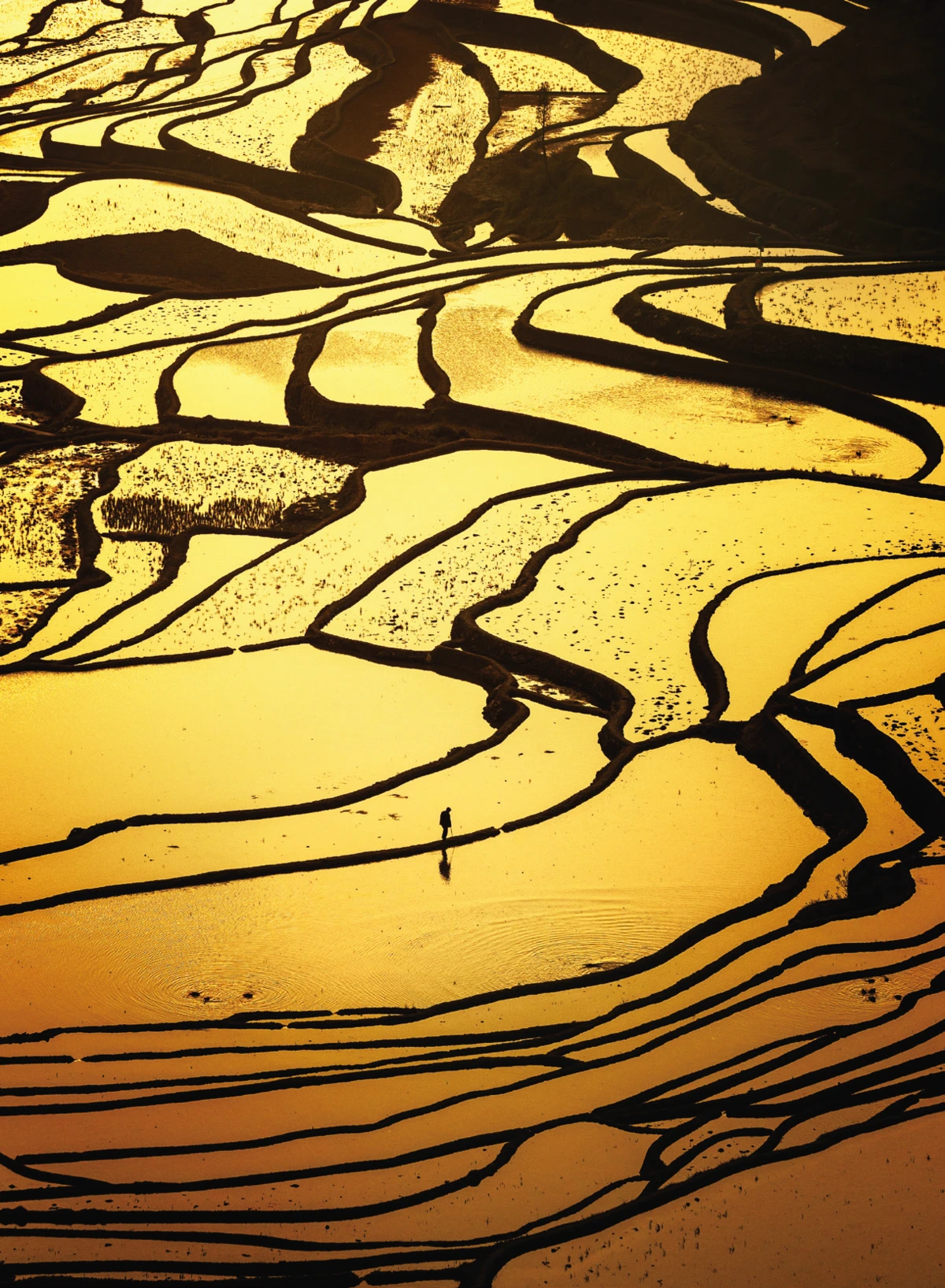 image.png?type=w1200