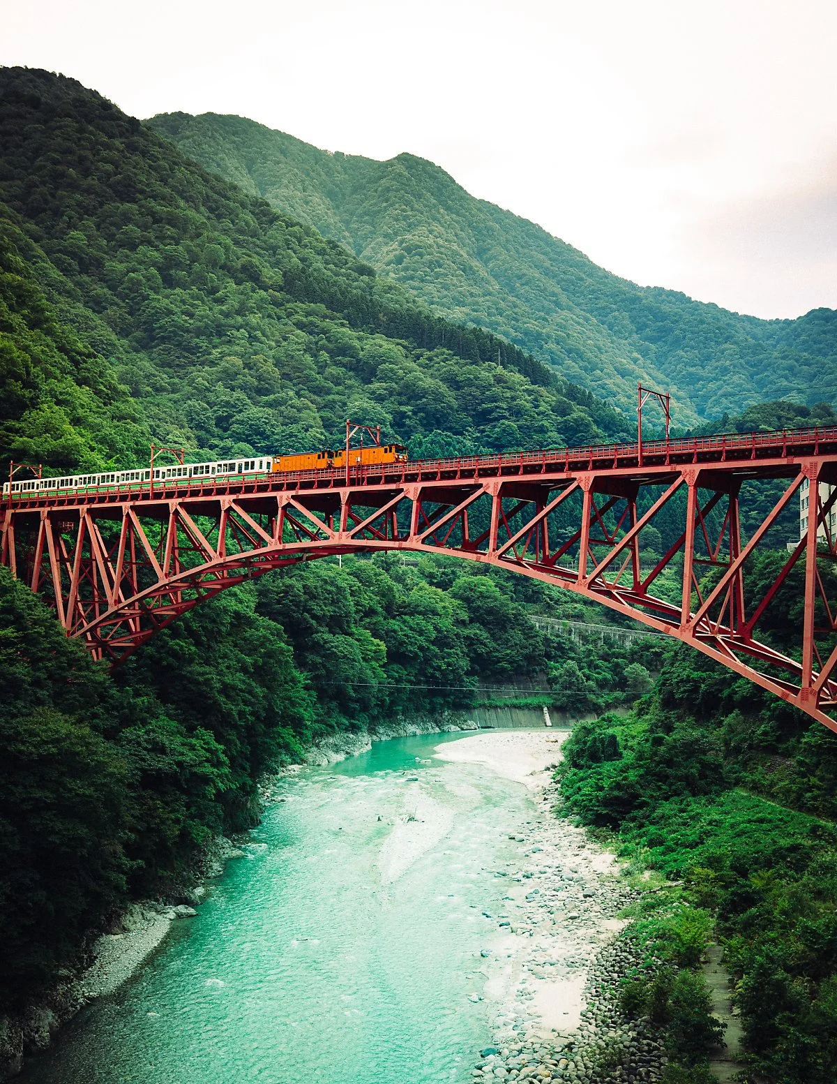 %EB%8F%84%EB%A1%AF%EC%BD%94_%EC%97%B4%EC%B0%A8-17.jpg?type=w1200