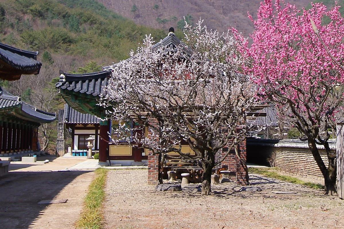 01_%EC%9A%B4%EB%AC%B8%EC%82%AC_%285%29.JPG?type=w1200