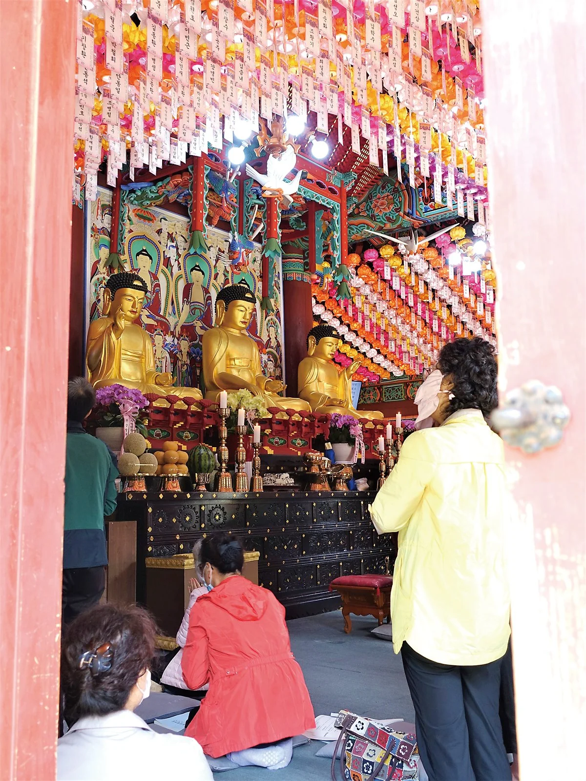 %EC%9B%90%EC%A3%BC%EA%B5%AC%EB%A3%A1%EC%82%AC_%EA%B9%80%EC%84%A0%EC%A3%BC_202005_%2831%29.JPG?type=w1200