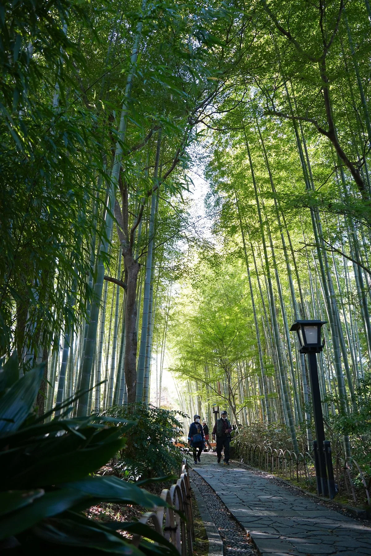 %ED%81%AC%EA%B8%B0%EB%B3%80%ED%99%98%EC%8A%88%EC%A0%A0%EC%A7%80_%EC%98%A8%EC%B2%9C%EB%A7%88%EC%9D%84_%284%29_%EB%8C%80%EB%82%98%EB%AC%B4_%EC%88%B2%EA%B8%B8.jpg?type=w1200