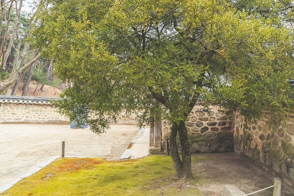 %EC%98%81%EB%85%95%EB%A6%89_%ED%9A%A8%EC%A2%85%EB%8C%80%EC%99%95%EB%A6%89%EC%9E%AC%EC%8B%A4_%ED%9A%8C%EC%96%91%EB%AA%A9_00001.jpg?type=w1200