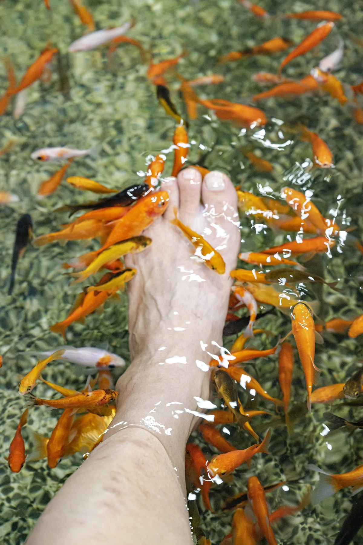 %EC%9E%90%EC%98%A4%EC%8B%9C%EC%98%A8%EC%B2%9C%EA%B3%B5%EC%9B%90_%283%29.jpg?type=w1200