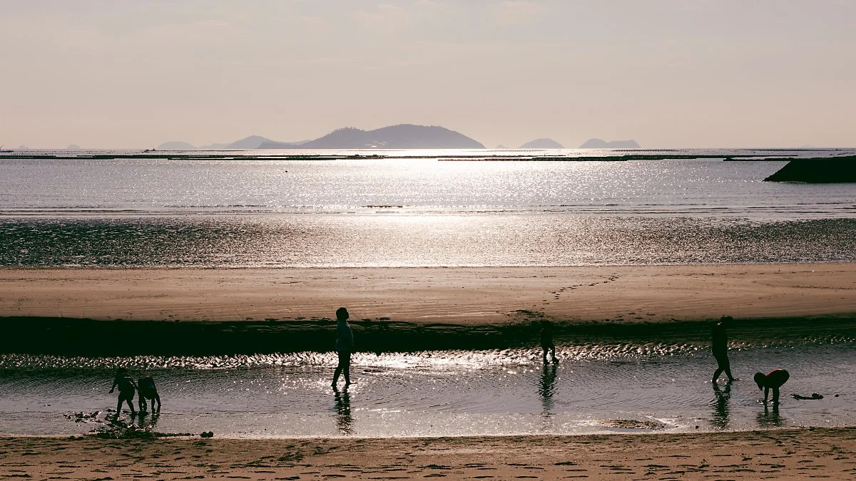 d_%EB%95%85%EB%81%9D%EC%86%A1%ED%98%B8%ED%95%B4%EC%88%98%EC%9A%95%EC%9E%A5_1.jpg?type=w1200