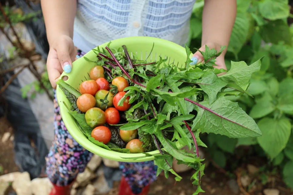 IMG_4143.JPG?type=w966