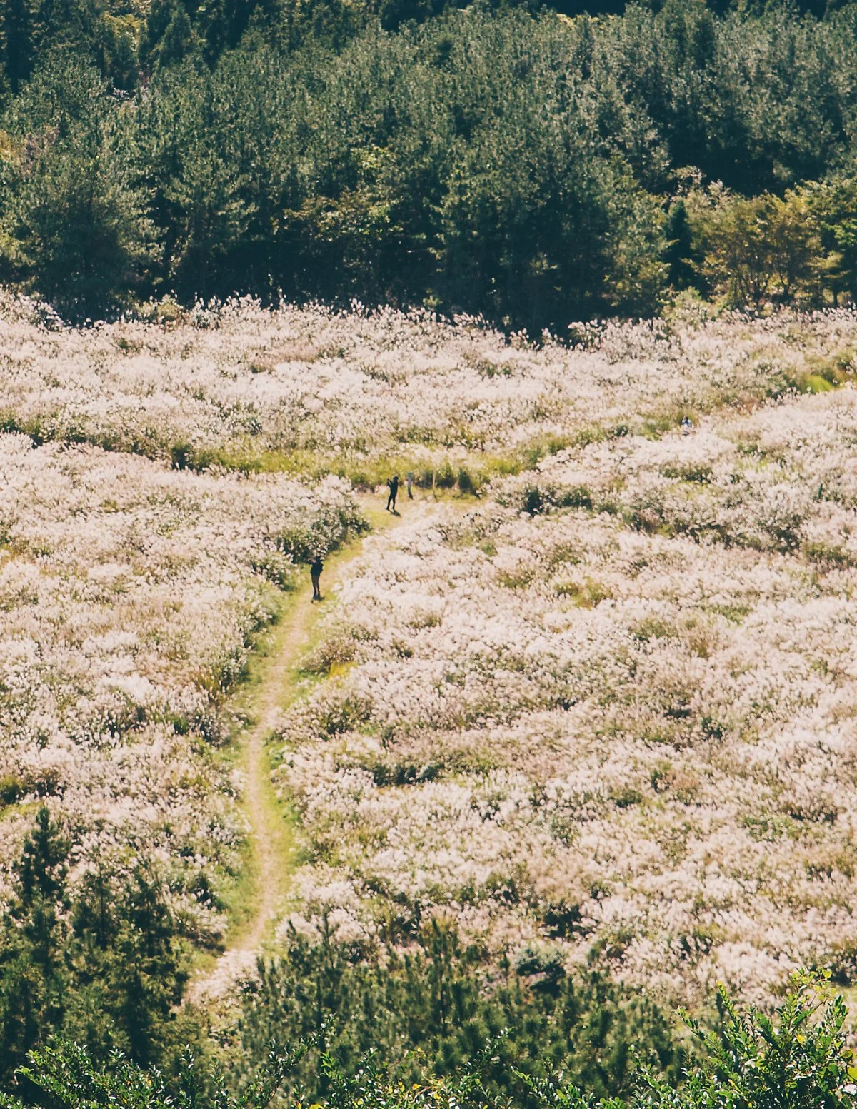 23_%EC%A0%95%EC%83%81%EC%97%90%EC%84%9C_%EB%B3%B4%EC%9D%B4%EB%8A%94_%EC%96%B5%EC%83%88_%EA%B5%B0%EB%9D%BD.jpg?type=w1200