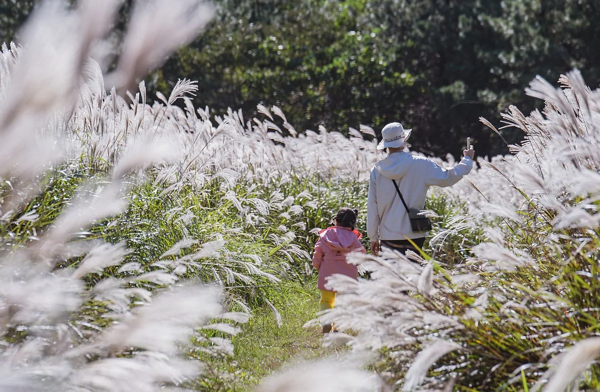 %EB%8C%80%EB%A1%9D%EC%82%B0_001.jpg?type=w1200