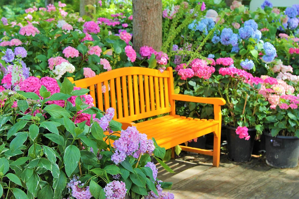 02%EC%95%84%EC%B9%A8%EA%B3%A0%EC%9A%94%EC%88%98%EB%AA%A9%EC%9B%90_%282%29.JPG?type=w1200