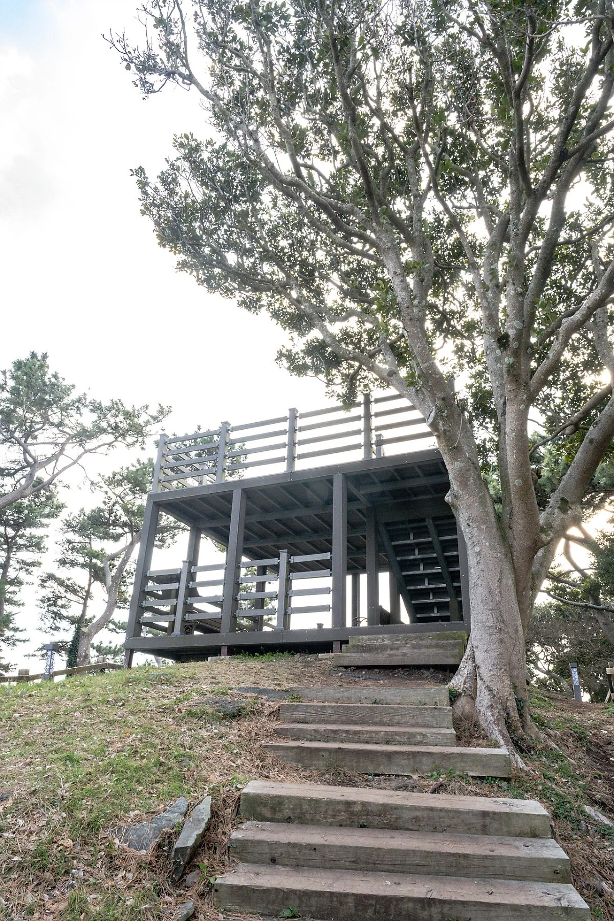 %EC%98%A4%EC%A1%B0%EB%A6%AC_%EC%8B%9D%EC%82%B0%EB%B4%89_%EC%A0%95%EC%83%81_%282%29.jpg?type=w1200