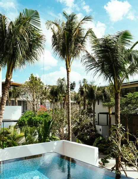 %EB%A9%9C%EB%A6%AC%EC%95%84-11.jpg?type=w466