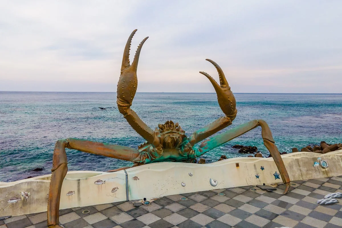 DJI_0265.jpg?type=w1200