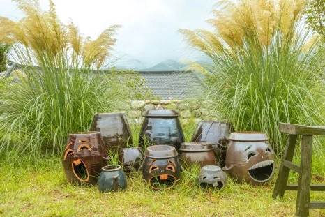 IMG_7240.jpg?type=w466