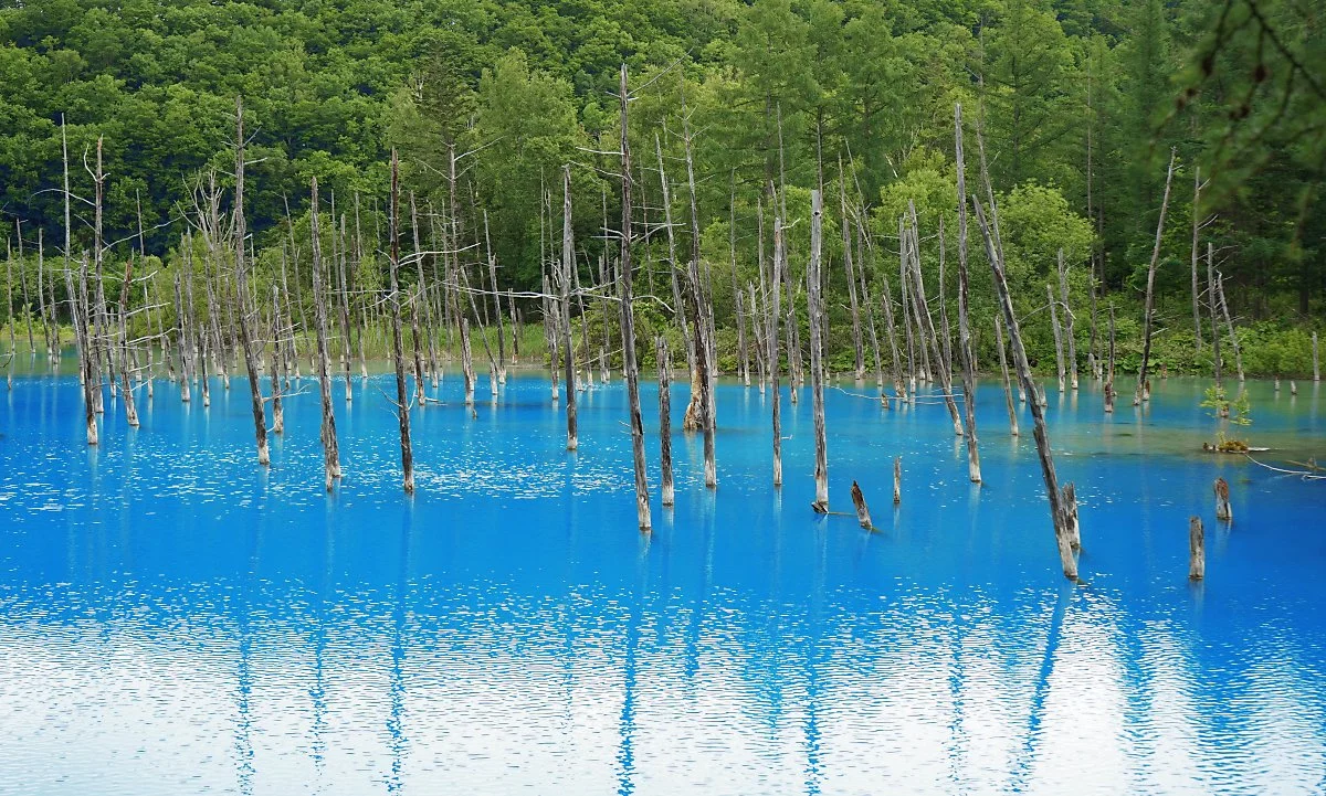 003_%EC%95%84%EC%98%A4%EC%9D%B4%EC%9D%B4%EC%BC%80.jpg?type=w1200