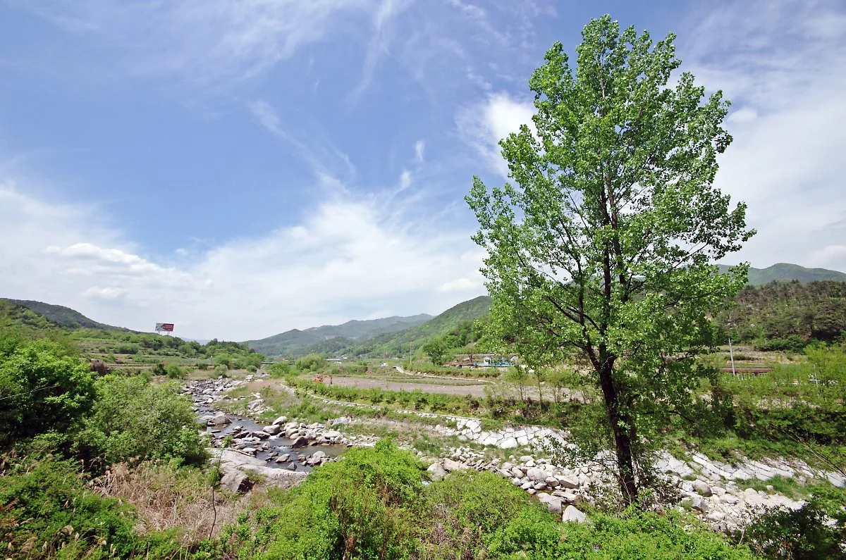 %EB%8F%99%ED%98%B8%EC%A0%95%EC%9C%BC%EB%A1%9C_%EA%B0%80%EB%8A%94_%EA%B8%B8._%EA%B7%B8%EB%83%A5_%ED%8F%89%EB%B2%94%ED%95%9C_%EC%8B%9C%EA%B3%A8_%ED%92%8D%EA%B2%BD%EC%97%90_%EC%B6%94%EC%96%B5_%EC%86%8D_%EA%B3%A0%ED%96%A5_%EC%8B%9C%EA%B3%A8%EB%A7%88.JPG?type=w1200