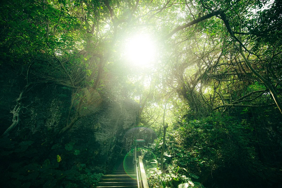 KHS_6035-2.jpg?type=w1200