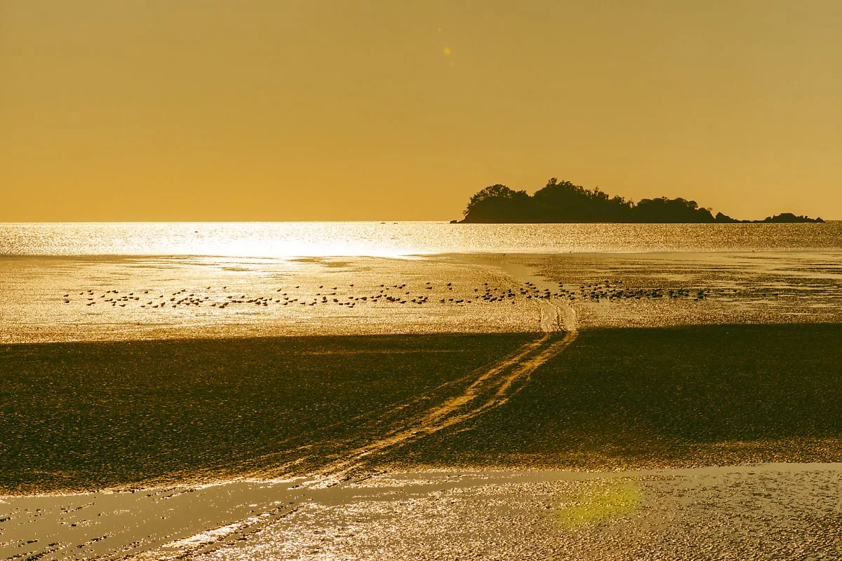 %EB%92%B7%EC%9E%A5%EC%88%A0%ED%95%B4%EB%B3%80.jpg?type=w1200