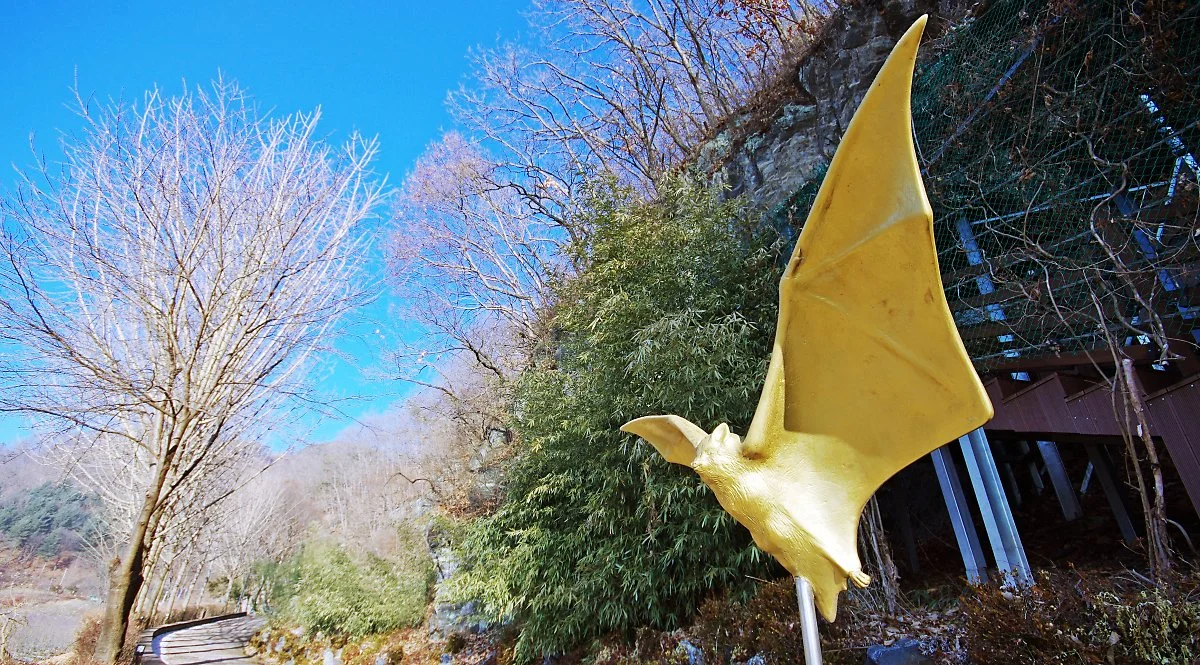 %EC%98%A5%ED%99%949%EA%B2%BD_%EC%A0%9C1%EA%B2%BD%EC%9D%B8_%EC%B2%AD%EC%84%9D%EA%B5%B4_%EB%B6%80%EA%B7%BC%EC%97%90_%EC%9E%88%EB%8A%94_%ED%99%A9%EA%B8%88%EB%B0%95%EC%A5%90_%EC%A1%B0%ED%98%95%EB%AC%BC._%EC%B2%AD%EC%84%9D%EA%B5%B4%EC%97%90_%ED%99%A9.JPG?type=w1200