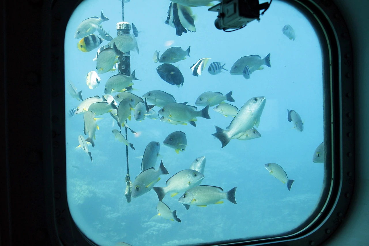 해중전망대 (1).JPG