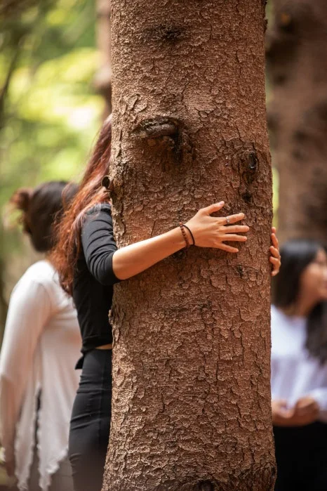 %EC%95%A0%EB%8B%88%ED%8F%AC%EB%A0%88_%EC%9B%B0%EB%8B%88%EC%8A%A4_(19).jpg?type=w466