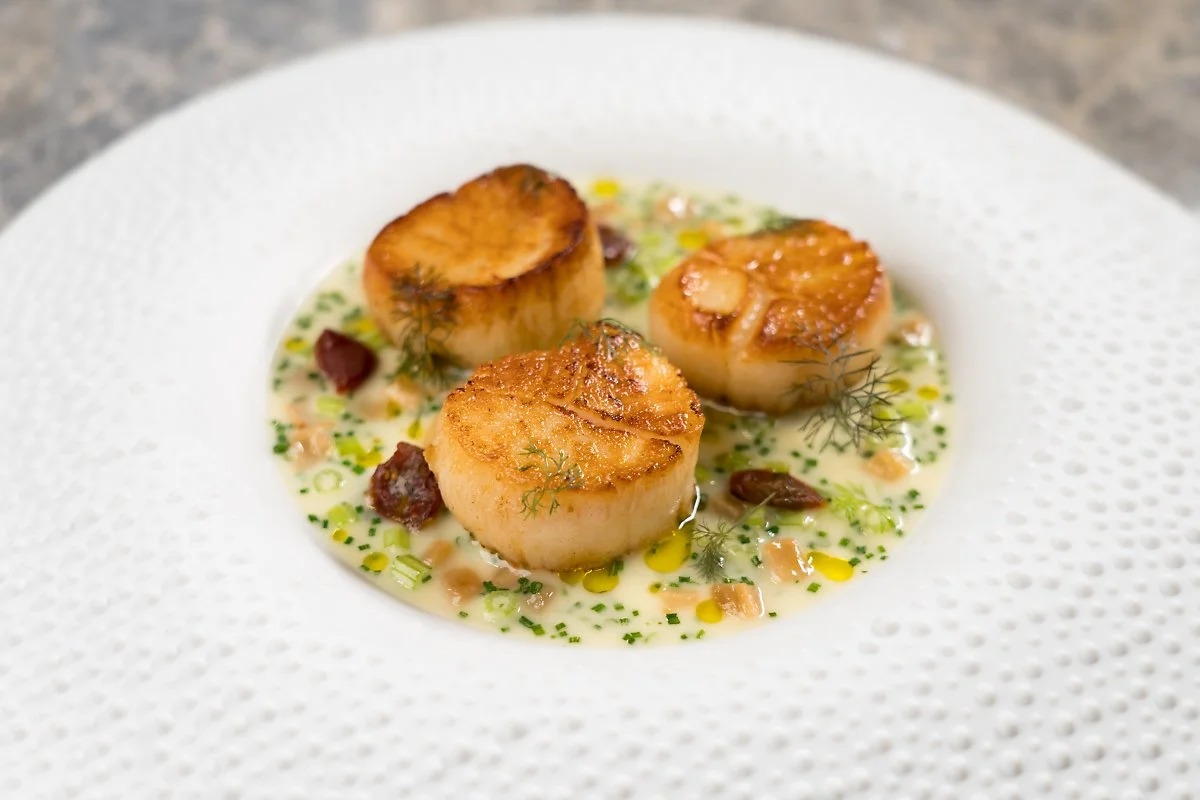 Copy_of__D7R08527_LR.JPG?type=w1200