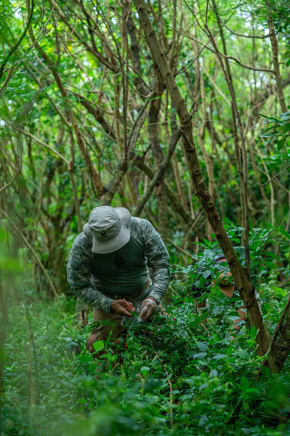 8%ED%8E%98%EC%9D%B4%EC%A7%80.jpg?type=w1200