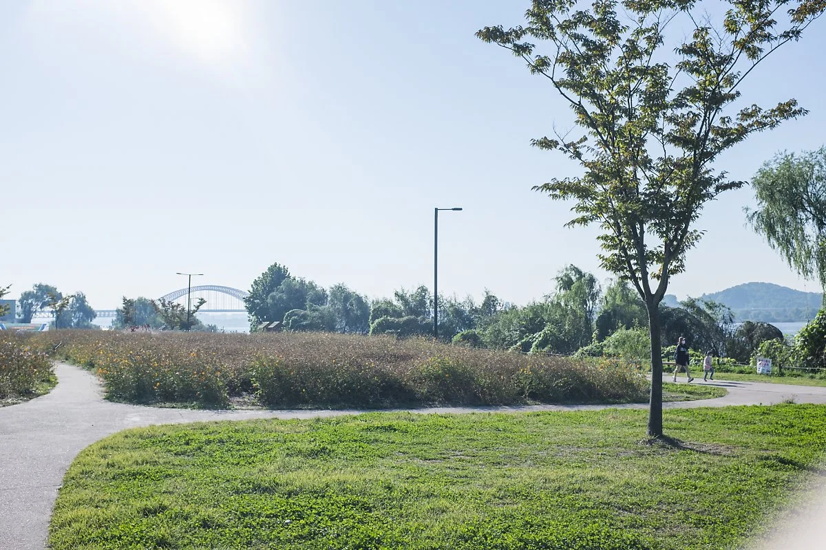 %ED%96%89%EC%A3%BC%EC%97%AD%EC%82%AC%EA%B3%B5%EC%9B%90_%282%29.jpg?type=w1200