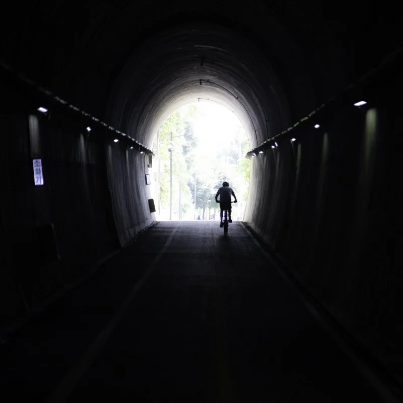 %EB%8F%84%EB%B9%84%EB%9D%BC-0C1A4350.jpg?type=w1200